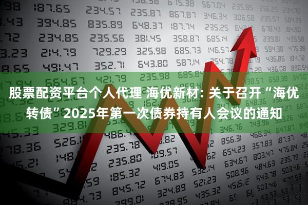股票配资平台个人代理 海优新材: 关于召开“海优转债”2025年第一次债券持有人会议的通知